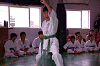 mi (106)_samu.gif